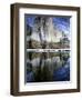 El Capitan and Merced River-Darrell Gulin-Framed Photographic Print