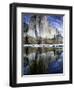 El Capitan and Merced River-Darrell Gulin-Framed Photographic Print