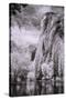 El Capitan and the Merced River, Infrared-Vincent James-Stretched Canvas