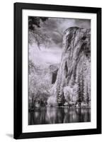 El Capitan and the Merced River, Infrared-Vincent James-Framed Photographic Print