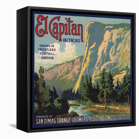 El Capitan Brand - San Dimas, California - Citrus Crate Label-Lantern Press-Framed Stretched Canvas