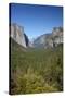 El Capitan, Half Dome, and Bridalveil Fall, Yosemite NP, California-David Wall-Stretched Canvas