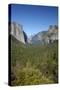 El Capitan, Half Dome, and Bridalveil Fall, Yosemite NP, California-David Wall-Stretched Canvas