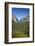 El Capitan, Half Dome, and Bridalveil Fall, Yosemite NP, California-David Wall-Framed Photographic Print