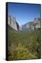 El Capitan, Half Dome, and Bridalveil Fall, Yosemite NP, California-David Wall-Framed Stretched Canvas