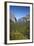 El Capitan, Half Dome, and Bridalveil Fall, Yosemite NP, California-David Wall-Framed Photographic Print