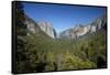 El Capitan, Half Dome, and Bridalveil Fall, Yosemite NP, California-David Wall-Framed Stretched Canvas