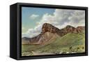 Canvas Black
