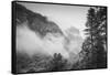 El Capitan Obscured in Blustery Snow Tunnel View Yosemite National Park-Vincent James-Framed Stretched Canvas