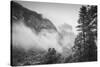 El Capitan Obscured in Blustery Snow Tunnel View Yosemite National Park-Vincent James-Stretched Canvas