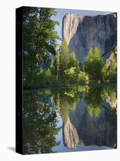 El Capitan reflected in Merced River. Yosemite National Park, CA-Jamie & Judy Wild-Stretched Canvas