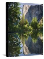 El Capitan reflected in Merced River. Yosemite National Park, CA-Jamie & Judy Wild-Stretched Canvas