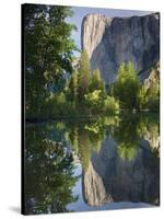 El Capitan reflected in Merced River. Yosemite National Park, CA-Jamie & Judy Wild-Stretched Canvas