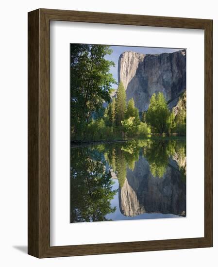 El Capitan reflected in Merced River. Yosemite National Park, CA-Jamie & Judy Wild-Framed Photographic Print