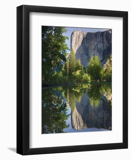 El Capitan reflected in Merced River. Yosemite National Park, CA-Jamie & Judy Wild-Framed Photographic Print