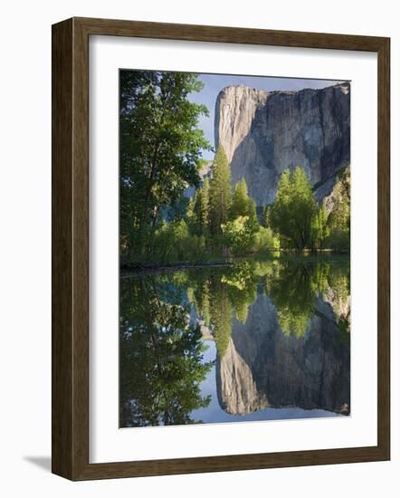 El Capitan reflected in Merced River. Yosemite National Park, CA-Jamie & Judy Wild-Framed Photographic Print