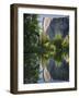 El Capitan reflected in Merced River. Yosemite National Park, CA-Jamie & Judy Wild-Framed Photographic Print