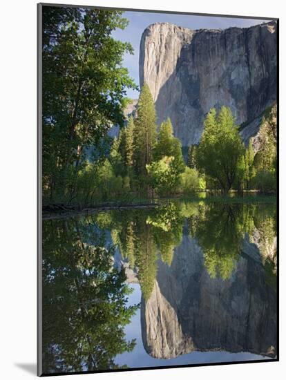 El Capitan reflected in Merced River. Yosemite National Park, CA-Jamie & Judy Wild-Mounted Photographic Print