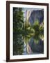 El Capitan reflected in Merced River. Yosemite National Park, CA-Jamie & Judy Wild-Framed Photographic Print