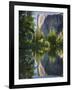 El Capitan reflected in Merced River. Yosemite National Park, CA-Jamie & Judy Wild-Framed Photographic Print