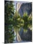 El Capitan reflected in Merced River. Yosemite National Park, CA-Jamie & Judy Wild-Mounted Photographic Print