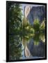 El Capitan reflected in Merced River. Yosemite National Park, CA-Jamie & Judy Wild-Framed Photographic Print