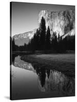 El Capitan Reflected in Merced River, Yosemite National Park, California, USA-Adam Jones-Stretched Canvas