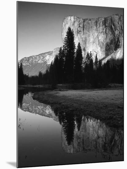 El Capitan Reflected in Merced River, Yosemite National Park, California, USA-Adam Jones-Mounted Premium Photographic Print