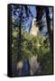 El Capitan reflected on Merced River, Yosemite National Park, California-Adam Jones-Framed Stretched Canvas