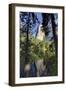 El Capitan reflected on Merced River, Yosemite National Park, California-Adam Jones-Framed Photographic Print