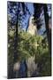 El Capitan reflected on Merced River, Yosemite National Park, California-Adam Jones-Mounted Photographic Print
