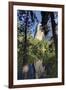 El Capitan reflected on Merced River, Yosemite National Park, California-Adam Jones-Framed Photographic Print