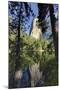 El Capitan reflected on Merced River, Yosemite National Park, California-Adam Jones-Mounted Photographic Print