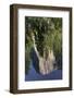 El Capitan reflected on Merced River, Yosemite National Park, California-Adam Jones-Framed Photographic Print