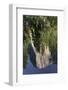 El Capitan reflected on Merced River, Yosemite National Park, California-Adam Jones-Framed Photographic Print