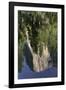 El Capitan reflected on Merced River, Yosemite National Park, California-Adam Jones-Framed Photographic Print