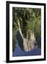 El Capitan reflected on Merced River, Yosemite National Park, California-Adam Jones-Framed Photographic Print