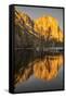 El Capitan Reflection, Yosemite, California-John Ford-Framed Stretched Canvas