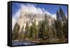 El Capitan seen from Cathedral Beach and Merced River. Yosemite National Park, California.-Tom Norring-Framed Stretched Canvas