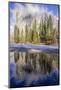 El Capitan seen from Cathedral Beach and Merced River. Yosemite National Park, California.-Tom Norring-Mounted Photographic Print