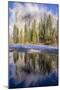 El Capitan seen from Cathedral Beach and Merced River. Yosemite National Park, California.-Tom Norring-Mounted Photographic Print
