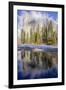 El Capitan seen from Cathedral Beach and Merced River. Yosemite National Park, California.-Tom Norring-Framed Photographic Print