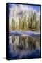 El Capitan seen from Cathedral Beach and Merced River. Yosemite National Park, California.-Tom Norring-Framed Stretched Canvas