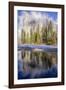 El Capitan seen from Cathedral Beach and Merced River. Yosemite National Park, California.-Tom Norring-Framed Photographic Print