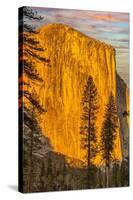 El Capitan, Yosemite, California.-John Ford-Stretched Canvas