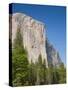 El Capitan. Yosemite National Park, CA-Jamie & Judy Wild-Stretched Canvas