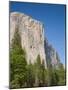 El Capitan. Yosemite National Park, CA-Jamie & Judy Wild-Mounted Photographic Print