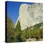 El Capitan, Yosemite National Park, California, USA-G Richardson-Stretched Canvas