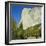 El Capitan, Yosemite National Park, California, USA-G Richardson-Framed Premium Photographic Print