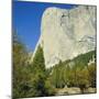 El Capitan, Yosemite National Park, California, USA-G Richardson-Mounted Premium Photographic Print